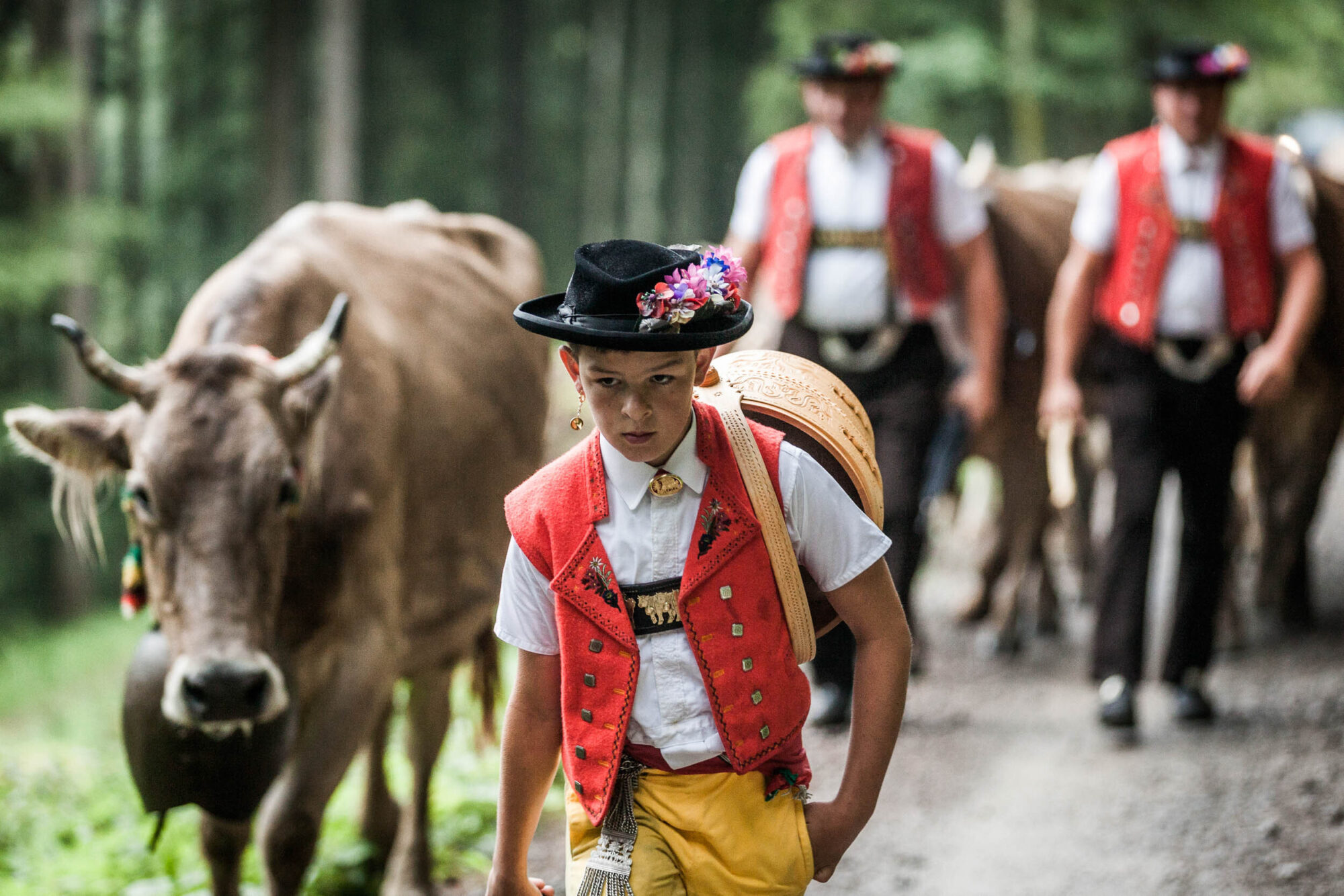 Lehmen; Potersalp, Appenzell, Schweiz, 22. Juni 2013 - Alpfahrt auf die Potersalp der Familie Reto Ruesch.