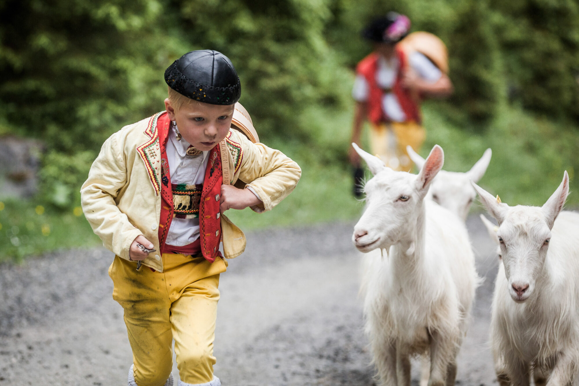 Lehmen; Potersalp, Appenzell, Schweiz, 22. Juni 2013 - Alpfahrt auf die Potersalp der Familie Reto Ruesch.