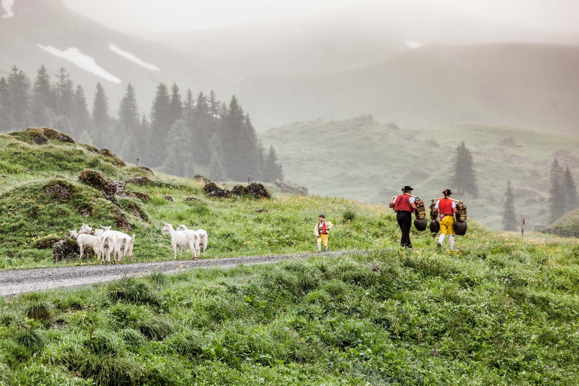 Lehmen; Potersalp, Appenzell, Schweiz, 22. Juni 2013 - Alpfahrt auf die Potersalp der Familie Reto Ruesch.