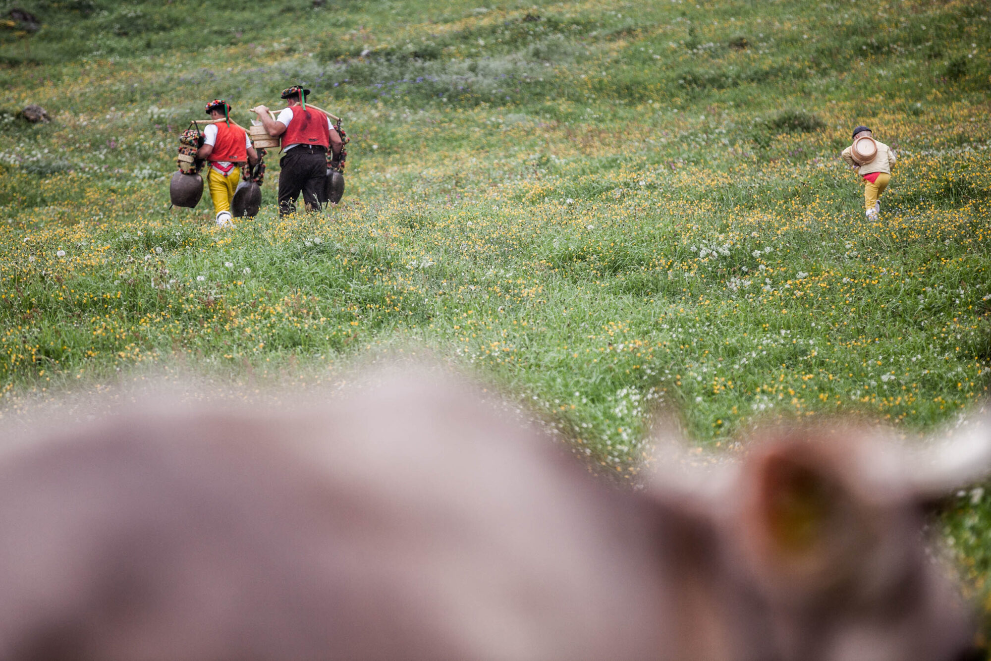 Lehmen; Potersalp, Appenzell, Schweiz, 22. Juni 2013 - Alpfahrt auf die Potersalp der Familie Reto Ruesch.