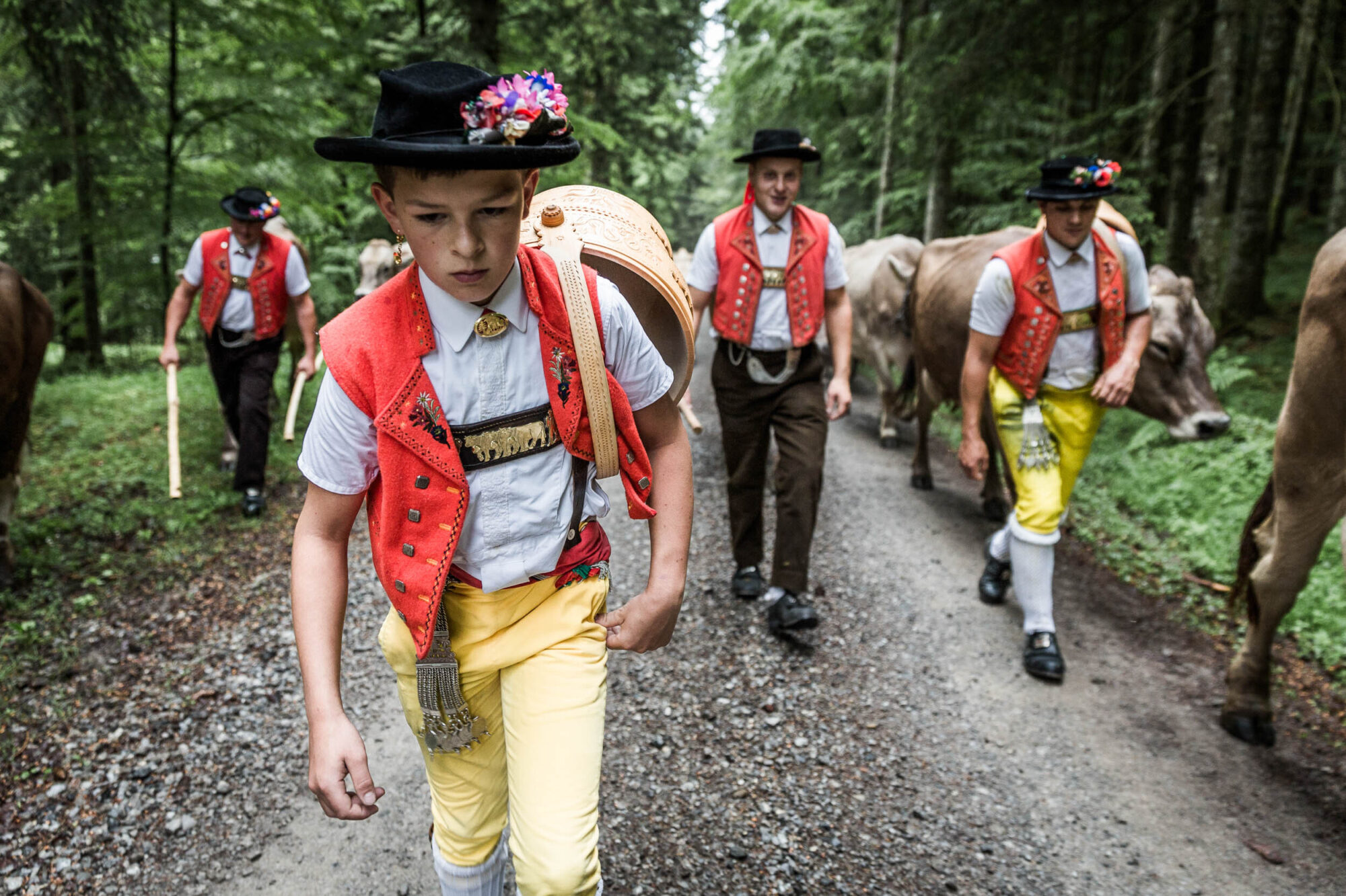 Lehmen; Potersalp, Appenzell, Schweiz, 22. Juni 2013 - Alpfahrt auf die Potersalp der Familie Reto Ruesch.
