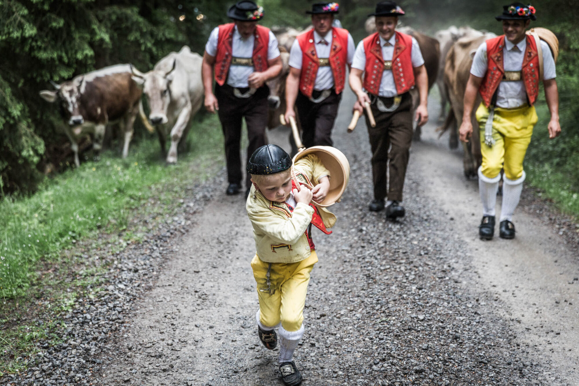 Lehmen; Potersalp, Appenzell, Schweiz, 22. Juni 2013 - Alpfahrt auf die Potersalp der Familie Reto Ruesch.
