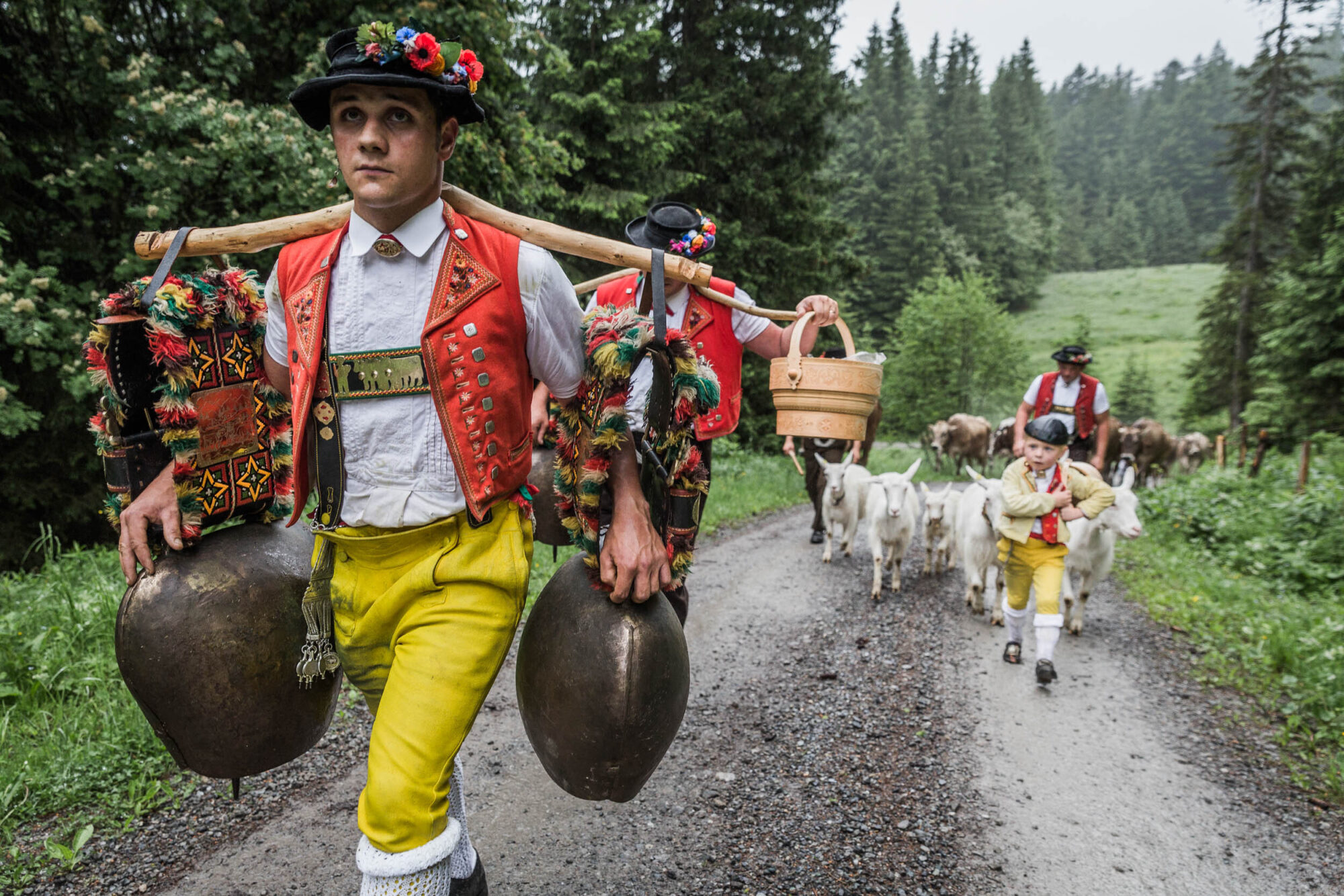 Lehmen; Potersalp, Appenzell, Schweiz, 22. Juni 2013 - Alpfahrt auf die Potersalp der Familie Reto Ruesch.