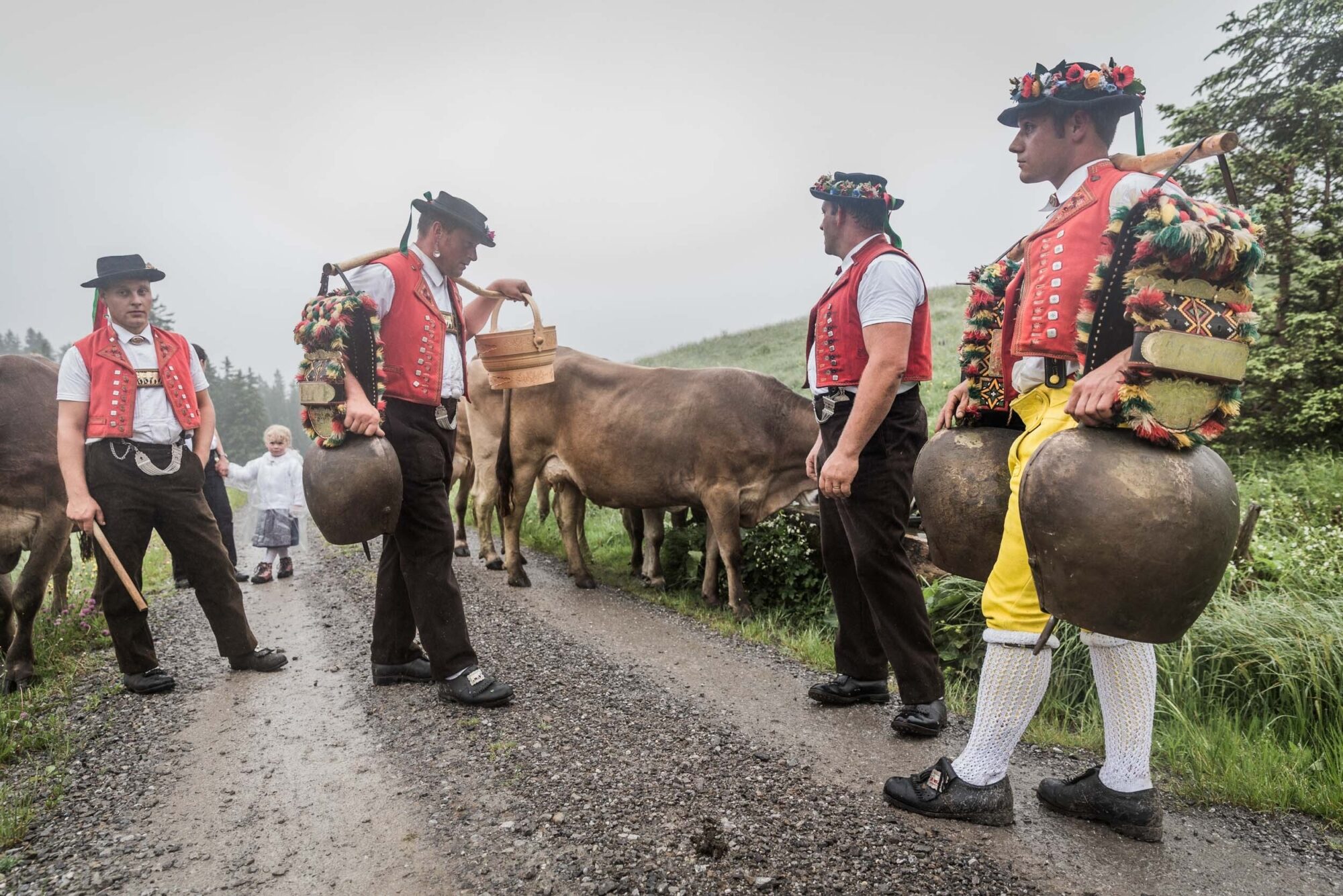 Lehmen; Potersalp, Appenzell, Schweiz, 22. Juni 2013 - Alpfahrt auf die Potersalp der Familie Reto Ruesch.