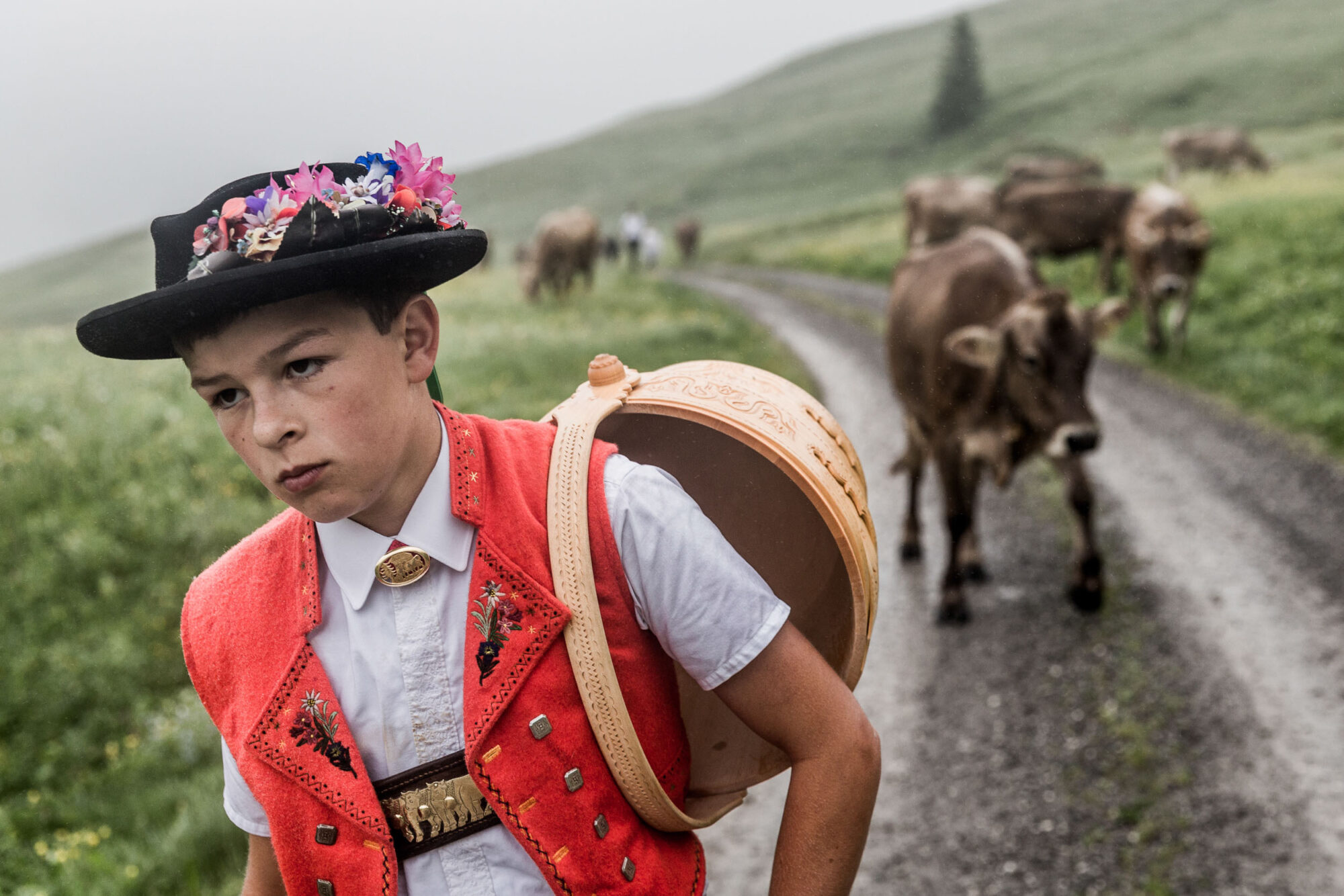 Lehmen; Potersalp, Appenzell, Schweiz, 22. Juni 2013 - Alpfahrt auf die Potersalp der Familie Reto Ruesch.