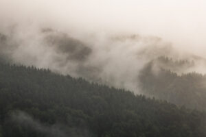 Lehmen; Potersalp, Appenzell, Schweiz, 22. Juni 2013 - Alpfahrt auf die Potersalp der Familie Reto Ruesch.