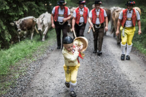Lehmen; Potersalp, Appenzell, Schweiz, 22. Juni 2013 - Alpfahrt auf die Potersalp der Familie Reto Ruesch.