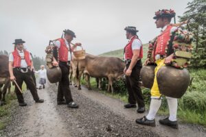 Lehmen; Potersalp, Appenzell, Schweiz, 22. Juni 2013 - Alpfahrt auf die Potersalp der Familie Reto Ruesch.