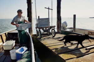 Steinach, St. Gallen, Schweiz, 16. Juli 2007 - Peter Klingenstein, Fischer auf dem Bodensee. Klingenstein ist Praesident des Schweizerischen Fischereiverbandes,

Photo by Daniel Ammann