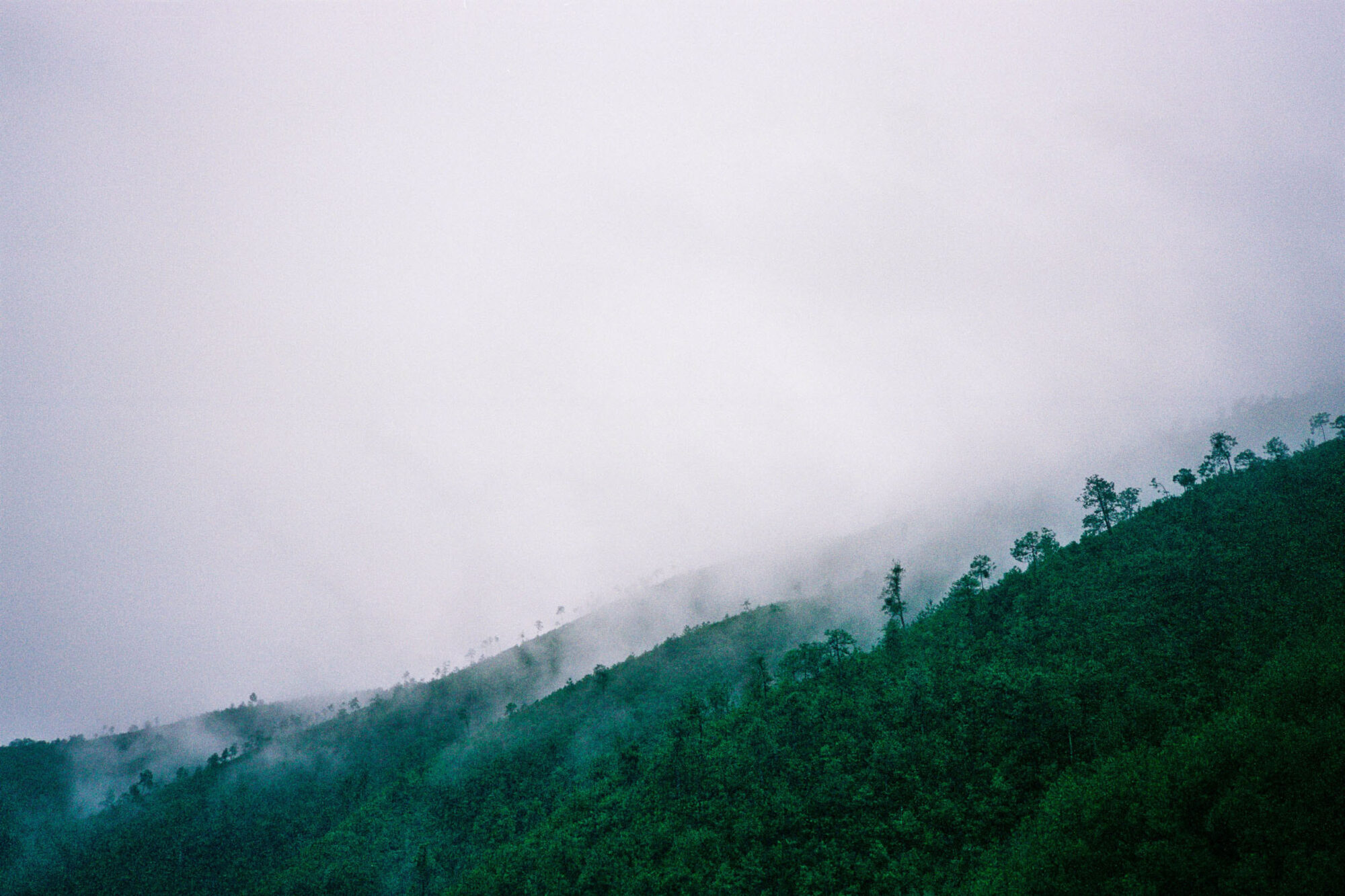 CHINA REPORTAGE IM MAERZ UND APRIL 2005

BILD AUS DEM DORF IM SHAXI VALLEY, PROVINZ YUNNAN IN CHINA.

PHOTO BY DANIEL AMMANN