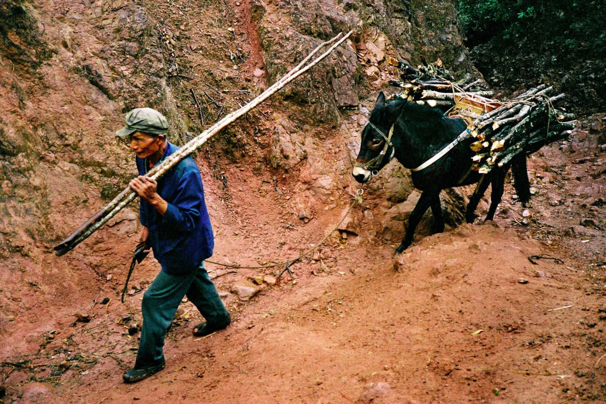 CHINA REPORTAGE IM MAERZ UND APRIL 2005

BILD AUS DEM DORF IM SHAXI VALLEY, PROVINZ YUNNAN IN CHINA. BAUER MIT MAULESEL AUF EINEM PFAD IN DIE BERGE.

PHOTO BY DANIEL AMMANN