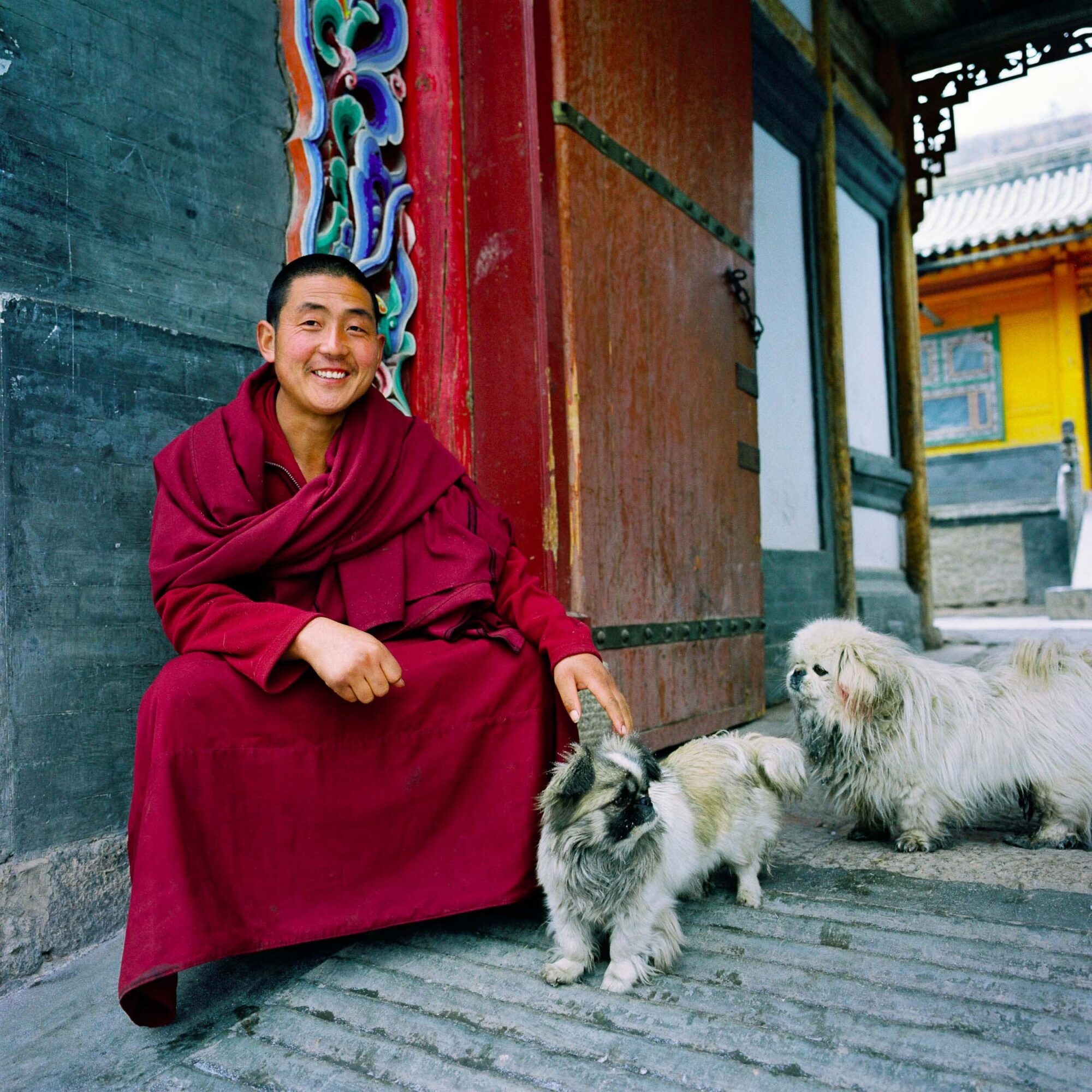 CHINA REPORTAGE IM MAERZ UND APRIL 2005

CHINESE EINER TIBETISCHEN MINDERHEIT AN EINER KLOSTERFASSADE SITZEND MIT ZWEI HUNDEN. BILDER EINER KLOSTERANLAGE BEI XINING.

PHOTO BY DANIEL AMMANN