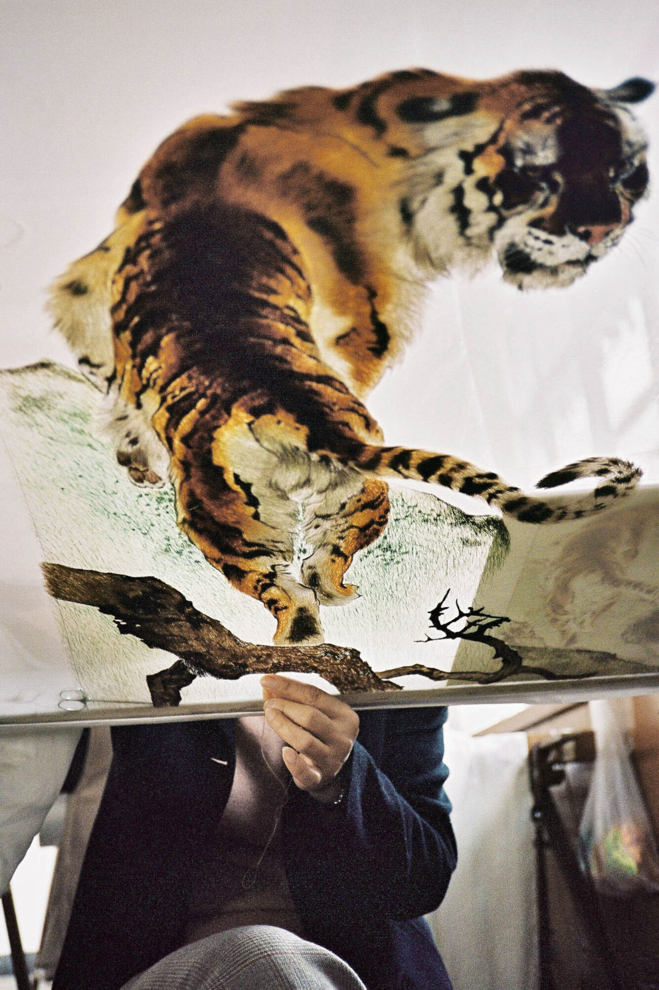 CHINA REPORTAGE IM MAERZ UND APRIL 2005

SUZHOU, CHINA, 2. APRIL 2005 - BRODERY ARBEIT, FRAUEN STICKEN VON HAND MUSTER AUF DEN STOFF. SEIDEN FABRIKATION.

PHOTO BY DANIEL AMMANN