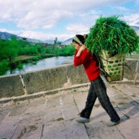 CHINA REPORTAGE IM MAERZ UND APRIL 2005

BAEUERIN TRAEGT HEU NACH HAUSE. BAEERIN IN SHAXI VALLEY, PROVINZ YUNNAN.

PHOTO BY DANIEL AMMANN
