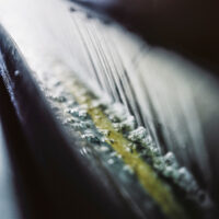 Bilder von Details aus der Herisauer Textilveredelungs Fabrikation Cilander am 11. Oktober 2002. 


Photo by Daniel Ammann