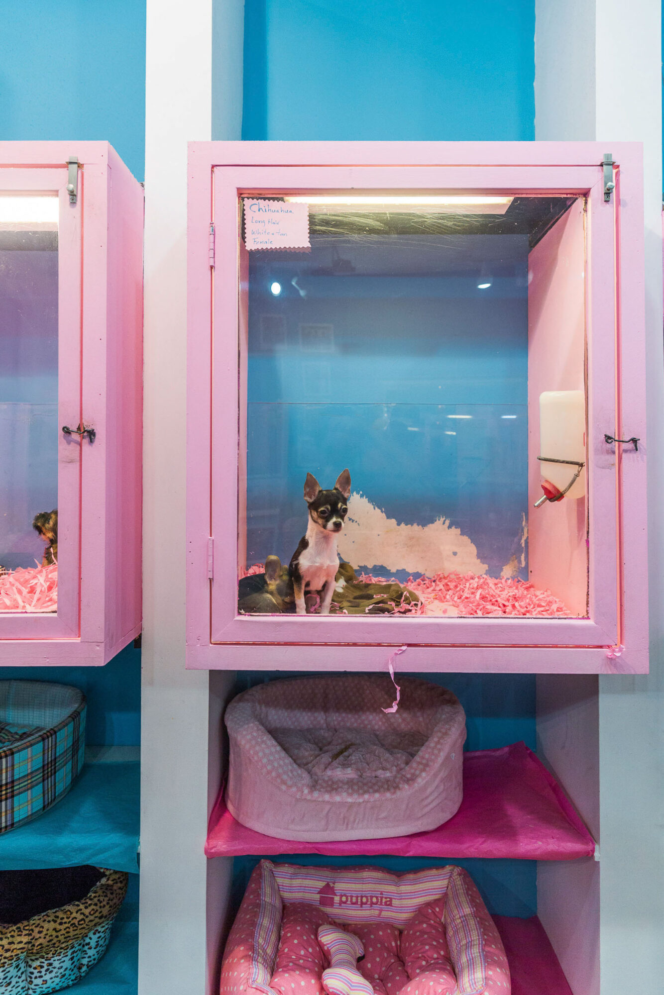 Miami Beacg, Florida, USA, 11. April 2013 - Miami Beach, Menschen am Strand und in der Art Deco Stadt.