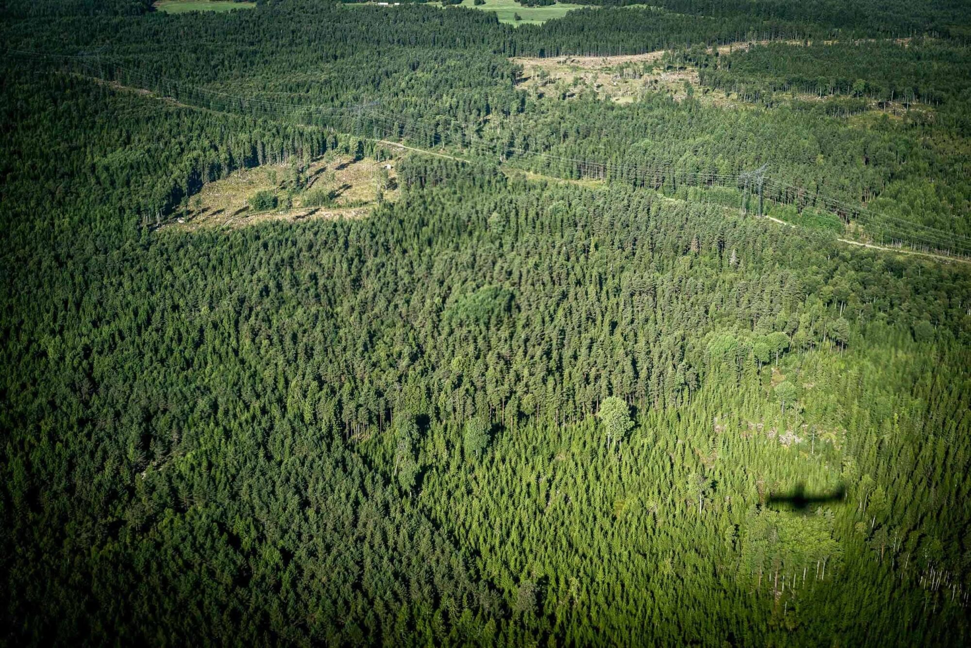 Bergen, Norwegen, 22. August 2013 - Reise mit dem Flugzeug von Zuerich nach Bergen, Hurtigruten.