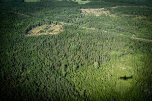 Bergen, Norwegen, 22. August 2013 - Reise mit dem Flugzeug von Zuerich nach Bergen, Hurtigruten.