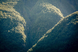Geiranger, Molde, Norwegen, 27. August 2013 - Geiranger, Trollstigen, Molde, Reise mit der Midnatsol auf die Hurtigruten.