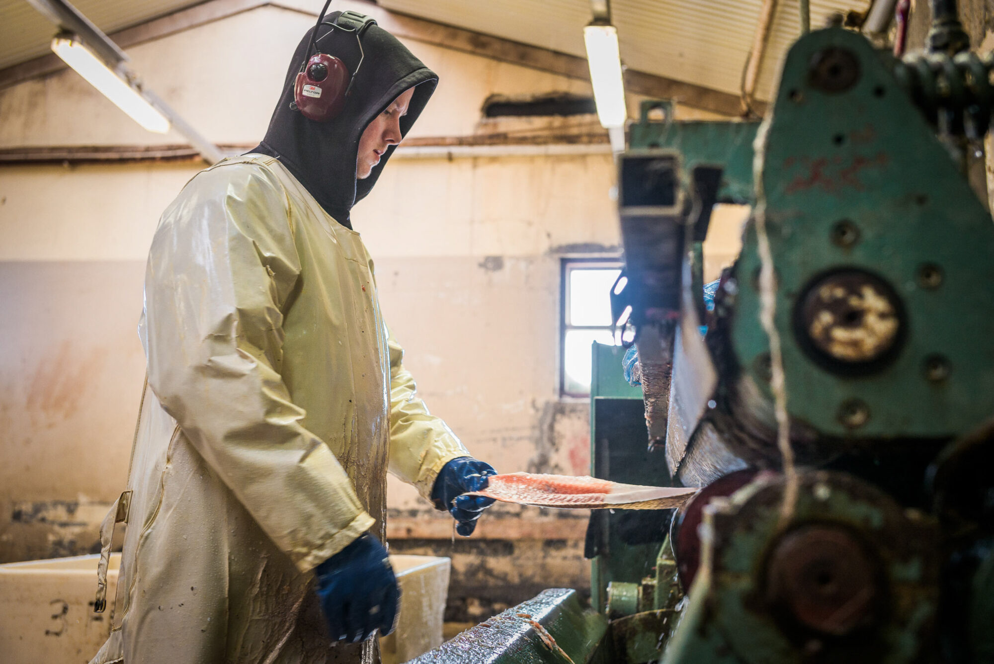 Saudarkrokur, Island, 12. Mai 2016 - Reportage in Island, Saudarkrokur, Fish Leather.