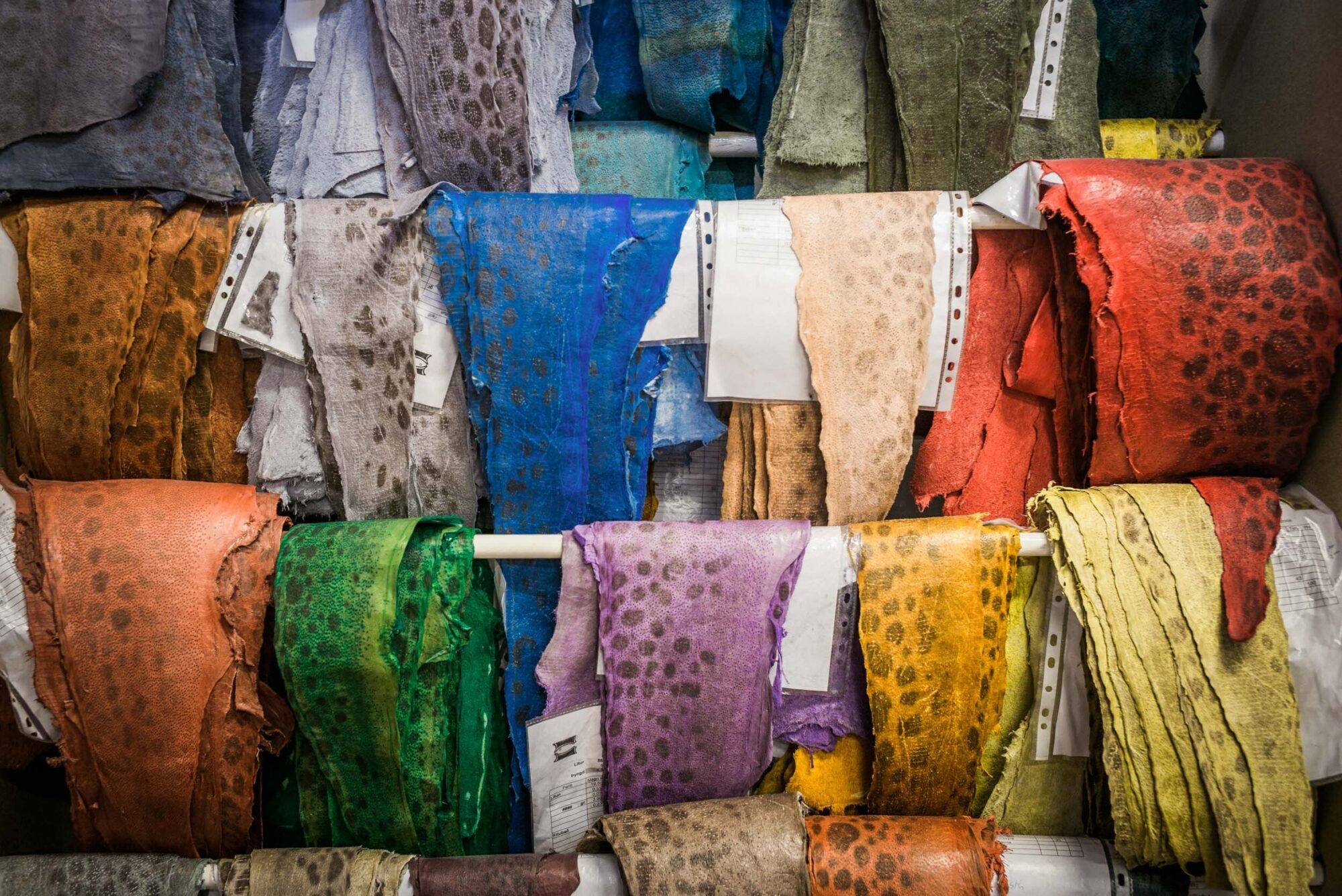 Saudarkrokur, Island, 12. Mai 2016 - Reportage in Island, Saudarkrokur, Fish Leather.