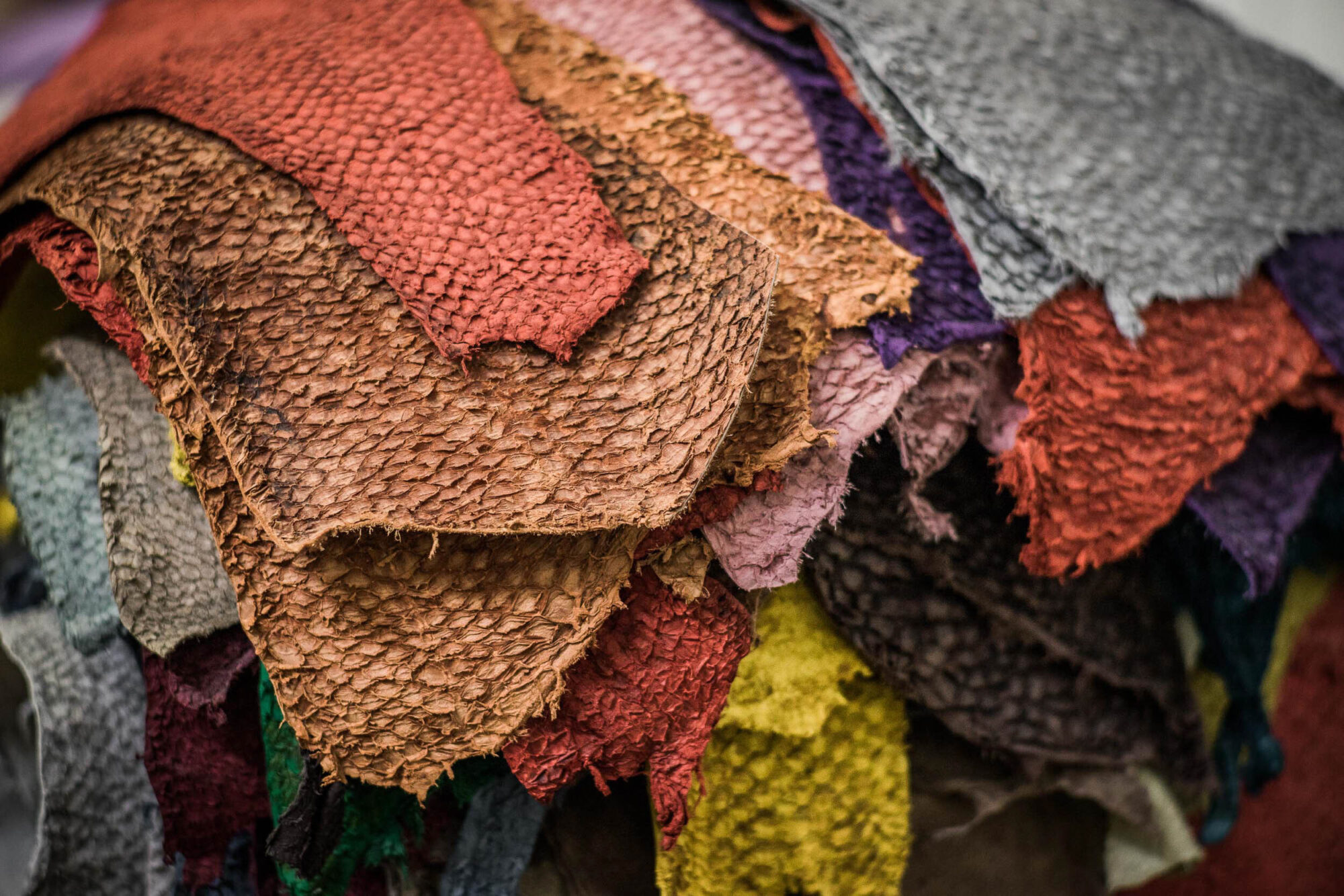 Saudarkrokur, Island, 12. Mai 2016 - Reportage in Island, Saudarkrokur, Fish Leather.