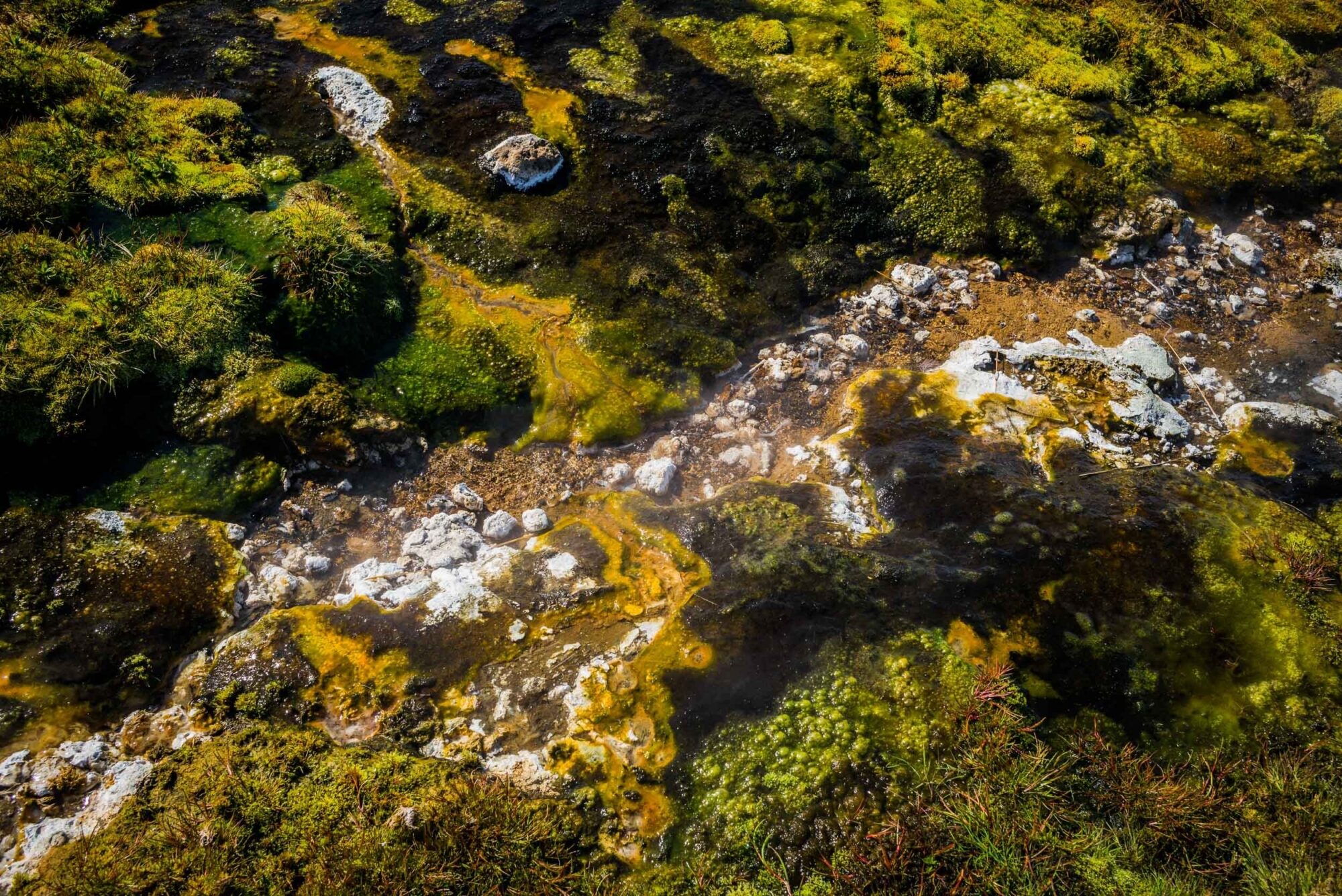 Myvatn, Hoefl, Island, 15. Mai 2016 - Reportage in Island, Myvatn nach Hoefl.