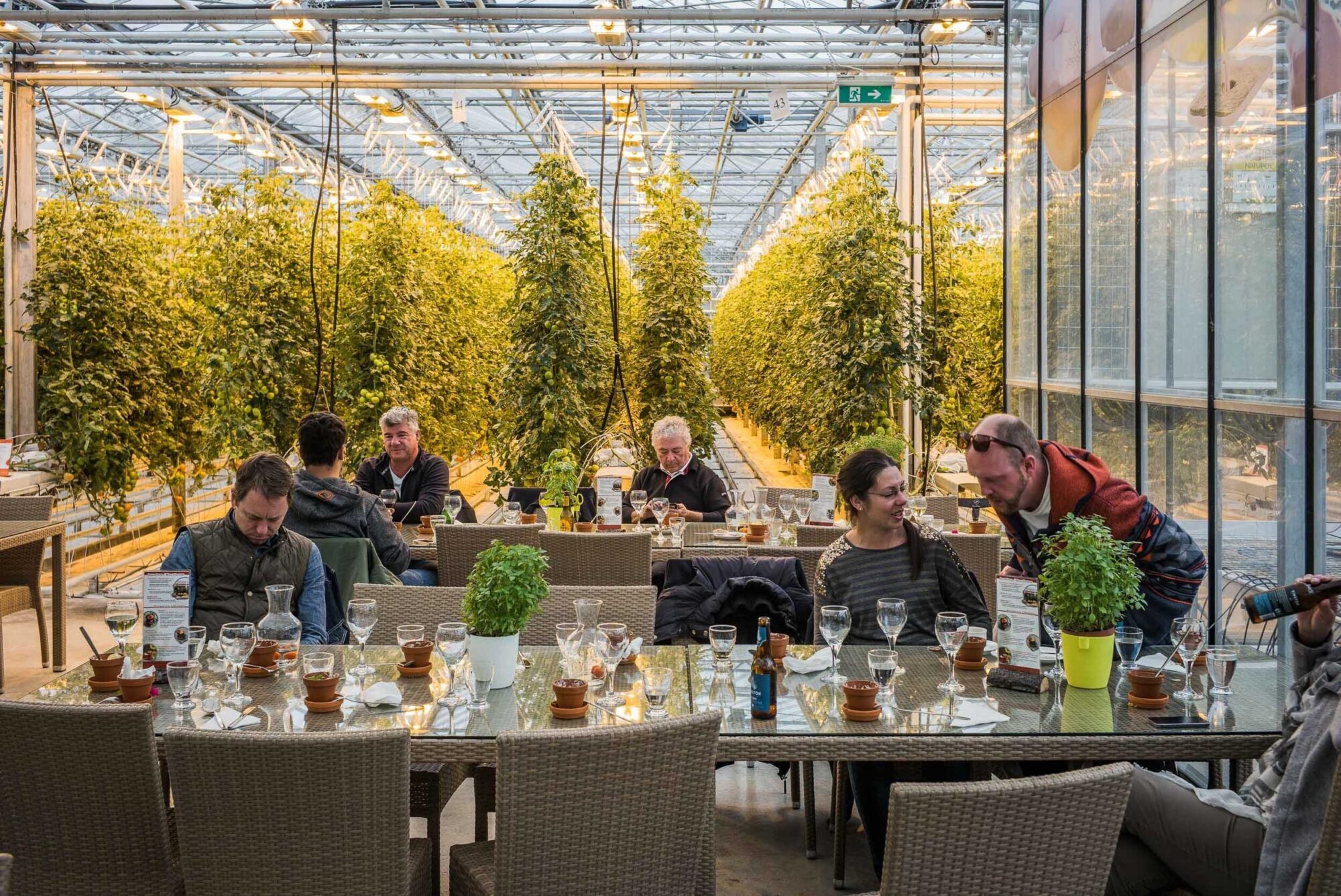 Myvatn, Hoefl, Island, 19. Mai 2016 - Reportage in Island, Wasserfall, Geysier und Blaue Lagune.