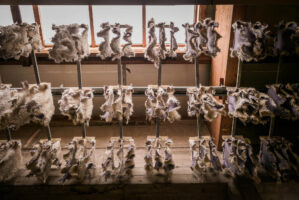 Saudarkrokur, Island, 12. Mai 2016 - Reportage in Island, Saudarkrokur, Fish Leather.