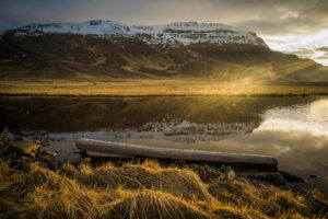 Saudarkrokur, Island, 12. Mai 2016 - Reportage in Island, Saudarkrokur, Fish Leather.