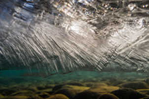 Saudarkrokur, Akureyri, Island, 14. Mai 2016 - Reportage in Island, Saudarkrokur nach Akureyri.