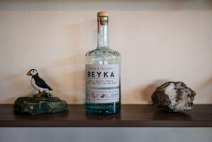 Myvatn, Hoefl, Island, 16. Mai 2016 - Reportage in Island, Hoefl nach Vik Myrdal.