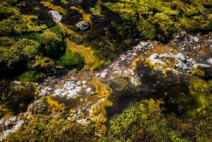 Myvatn, Hoefl, Island, 15. Mai 2016 - Reportage in Island, Myvatn nach Hoefl.