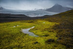 Myvatn, Hoefl, Island, 16. Mai 2016 - Reportage in Island, Hoefl nach Vik Myrdal.