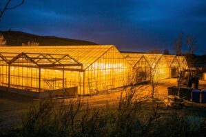 Myvatn, Hoefl, Island, 17. Mai 2016 - Reportage in Island, Schwarzer Strand und Wasserfall und Hot Pot.