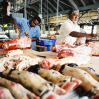 MAURITIUS,17.MAERZ02 -  Ferien auf der Insel Mauritius. Metzger auf dem Markt bei der Arbeit.

photo by Daniel Ammann