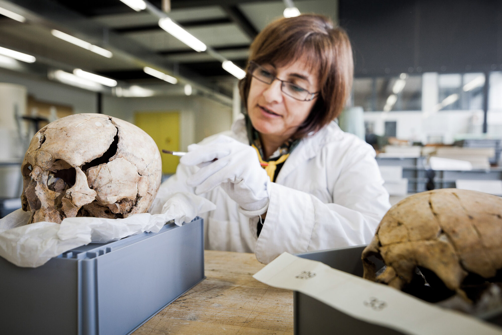 Lucens, Wadt, 3. November 2011 - Esther Cuchillo putz im DABC einen Schaedel.