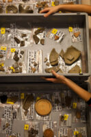 Lausanne, Wadt, 3. November 2011 - Am Kantonalen Archaeologie Museum in Lausanne arbeiten Caroline Brunetti am Computer, Sandra Gilloz (links) an Scherben, David Cuendet auf der Leiter und Aline Berthold an einer Vase.