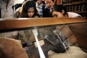 St. Gallen, Schweiz, 11. Maerz 2008 - Renate Siegmann bei der Mumie Shepeneses in der Stiftsbibliothek.

Photo by Daniel Ammann