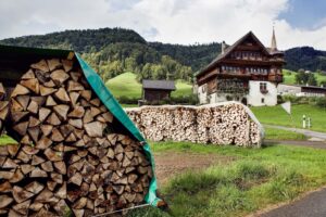 Brunnadern, Neckertal, St. Gallen, Schweiz, 4. November 2007 - Sonnengebräunte Hausfassade, schindelverkleidetes Klebdach, Geranien geschmückte Fenster, pittoreske Erkertürmchen und weiss gekalkte Kellergewölbe, so präsentiert sich das märchenhafte Türmlihaus 
in Furt. 

Photo by Daniel Ammann