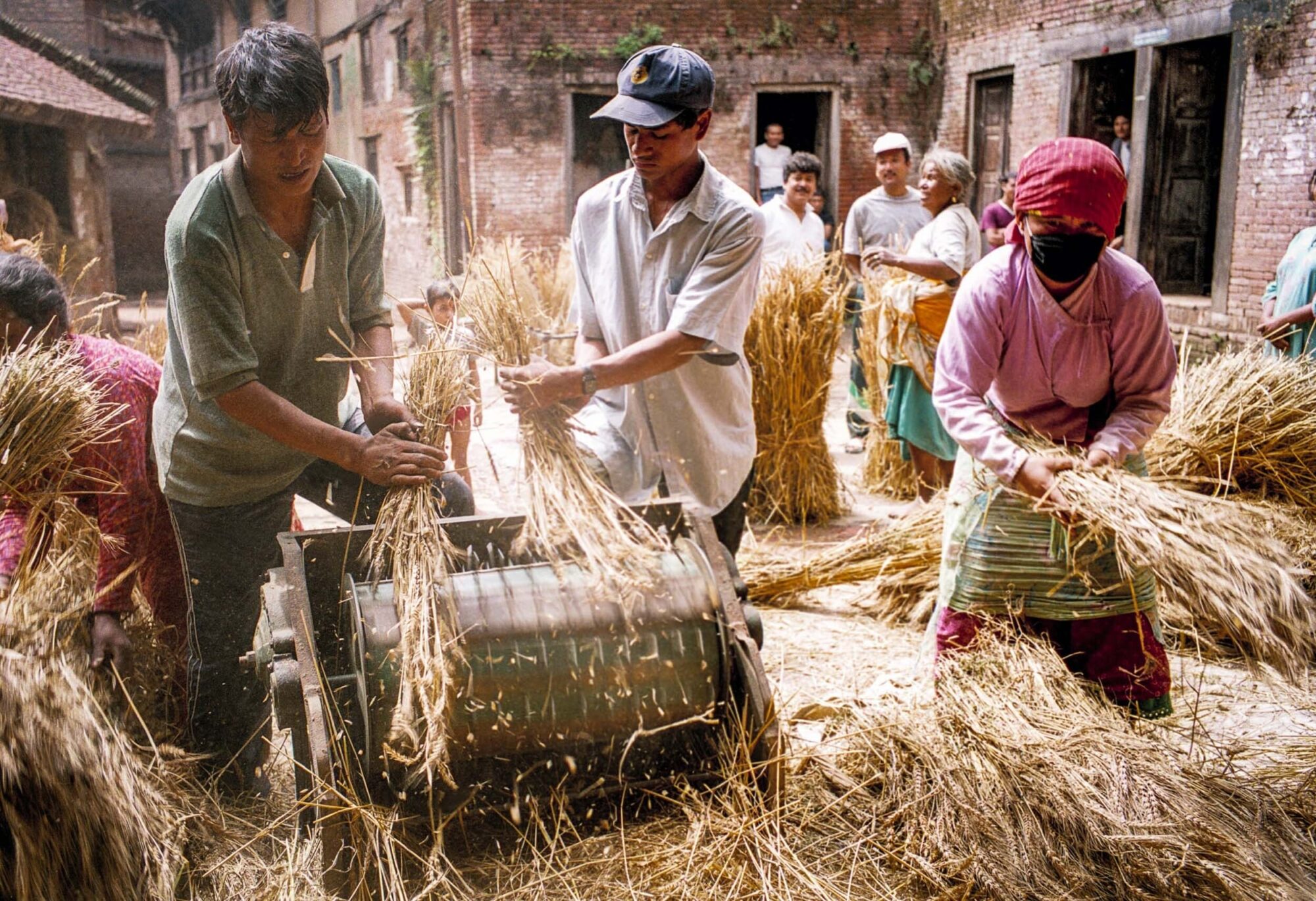 KATHMANDU 27. APRIL 2000 - Nepalis dreschen von Hand in mitten eines Wohnquartiers der Hauptstadt Nepals das geerntete Korn.

Photo by Daniel Ammann