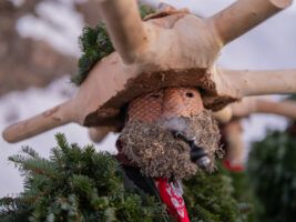 Urnäsch, Hundwil, Appenzell Ausserrhoden, Schweiz, 13 Januar 2024 - Silvesterchlausen, Brauchtum, eine Gruppe verkleideter Männer ziehen singend von Bauernhof zu Hof. Silvester Chlaus.