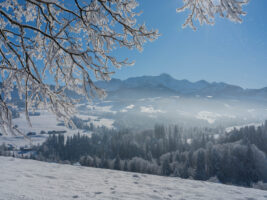 Urnäsch, Hundwil, Appenzell Ausserrhoden, Schweiz, 13 Januar 2024 - Silvesterchlausen, Brauchtum, eine Gruppe verkleideter Männer ziehen singend von Bauernhof zu Hof. Silvester Chlaus.