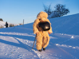 Urnäsch, Hundwil, Appenzell Ausserrhoden, Schweiz, 13 Januar 2024 - Silvesterchlausen, Brauchtum, eine Gruppe verkleideter Männer ziehen singend von Bauernhof zu Hof. Silvester Chlaus.