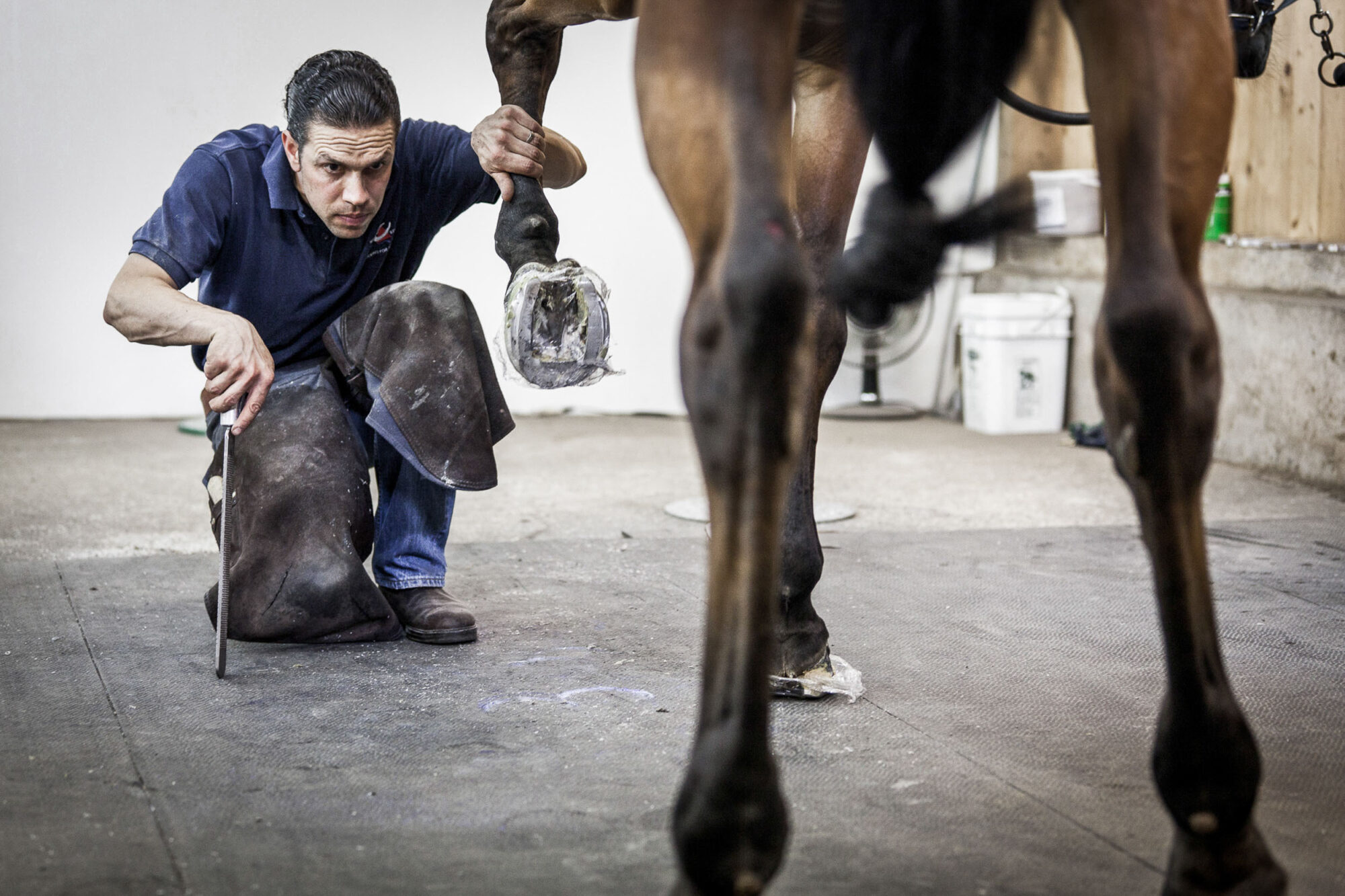 Heldswil, Frauenfeld, Thurgau, Schweiz, 6. August 2010 - Stefan Wehrli, Hufschmied.