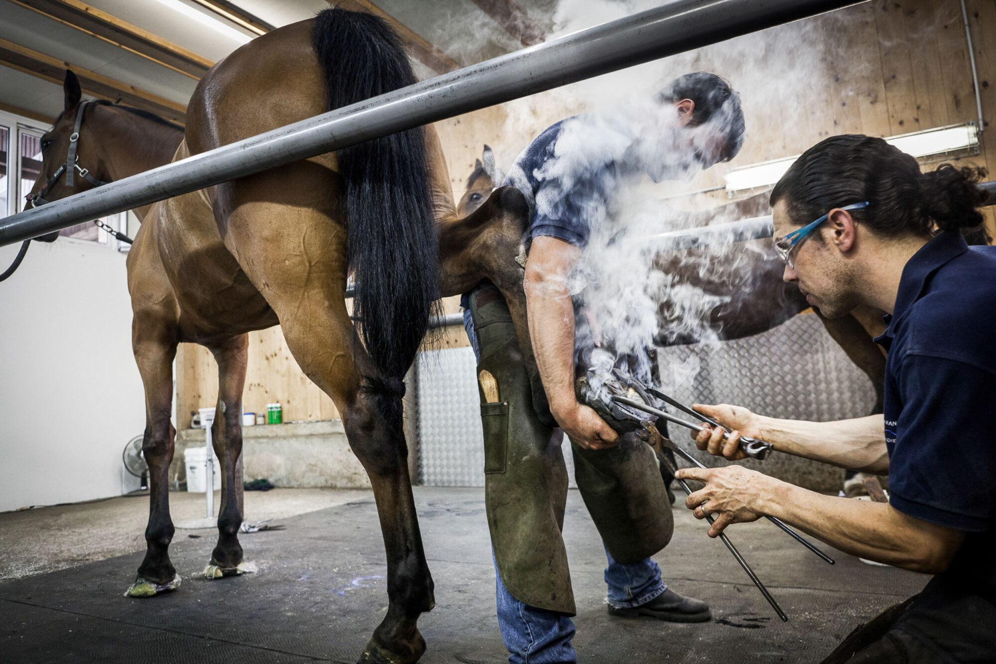 Heldswil, Frauenfeld, Thurgau, Schweiz, 6. August 2010 - Stefan Wehrli, Hufschmied.
