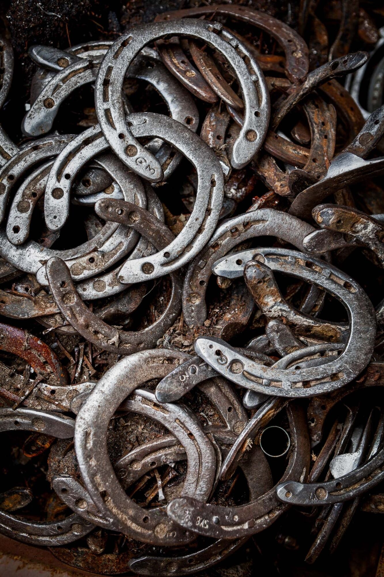 Heldswil, Frauenfeld, Thurgau, Schweiz, 6. August 2010 - Stefan Wehrli, Hufschmied.