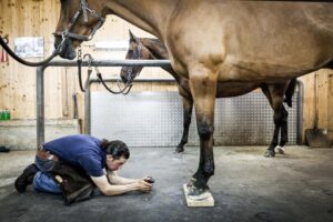 Heldswil, Frauenfeld, Thurgau, Schweiz, 6. August 2010 - Stefan Wehrli, Hufschmied.