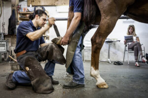 Heldswil, Frauenfeld, Thurgau, Schweiz, 6. August 2010 - Stefan Wehrli, Hufschmied.