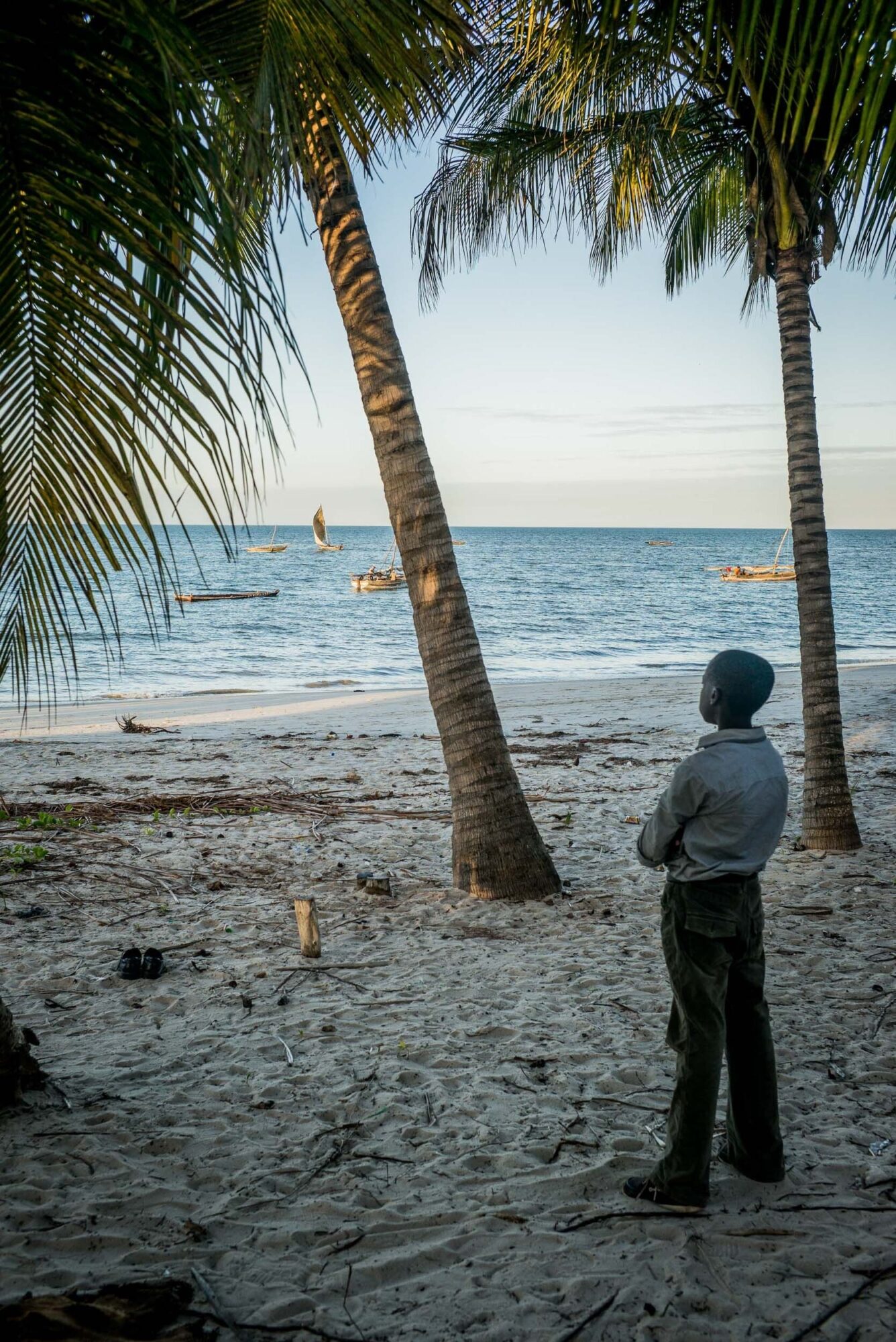 Tansania, 10. Juli 2014  - Reportage in Tansania und Suedafrika mit Werner Spitteler ueber Malaria, Artemisia Annua, Moringa und Mineralien.